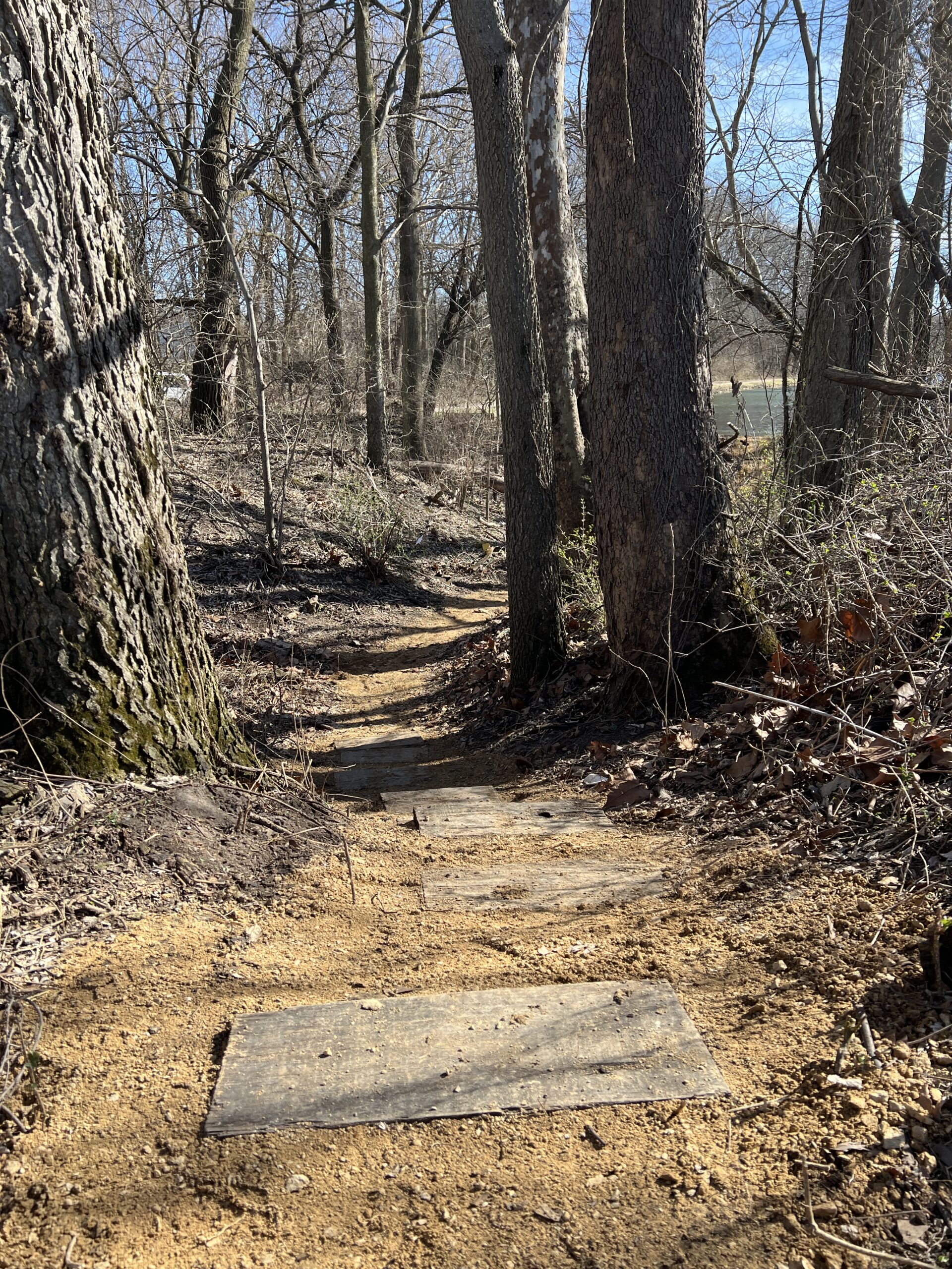 The Woodpecker Trail descends a slight incline towards the canal.